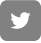 twitter-icon